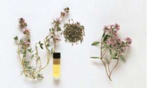 essential-bottles-w-herbs